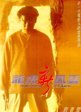 龙虎新风云封面图