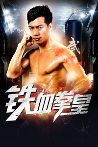 铁血拳皇封面图