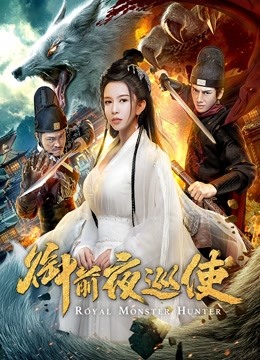 御前夜巡使封面图