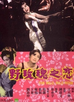 野玫瑰之恋封面图