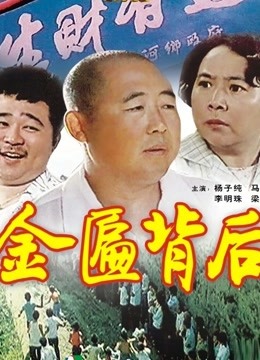 金匾背后封面图