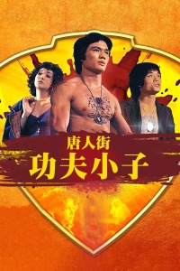 唐人街功夫小子封面图