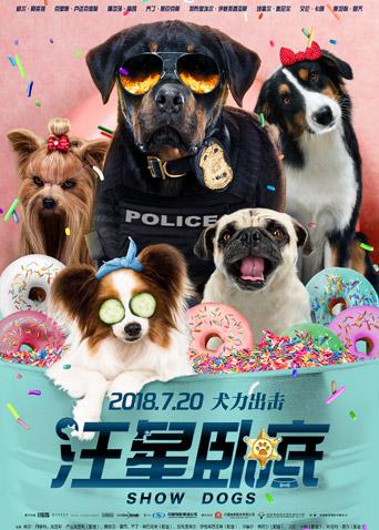 汪星卧底封面图