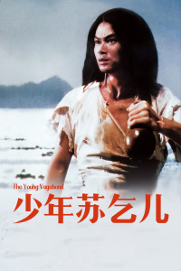 少年苏乞儿封面图