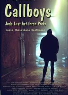 真假疑凶封面图