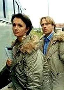 科学救援组封面图