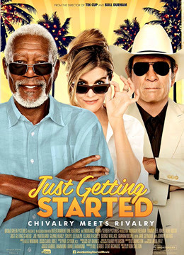 夕阳特工封面图