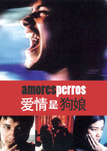 爱情是狗娘封面图