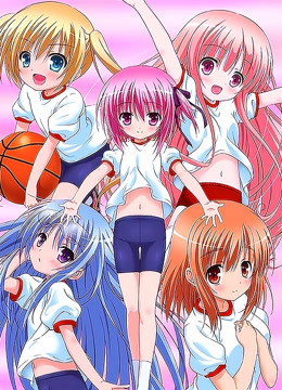 萝球社ss封面图