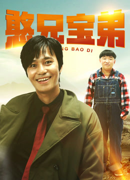 憨兄宝弟封面图