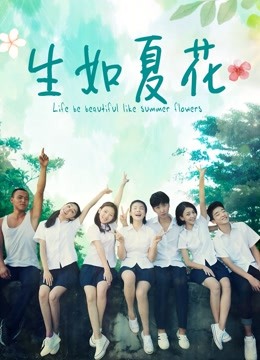 生如夏花封面图