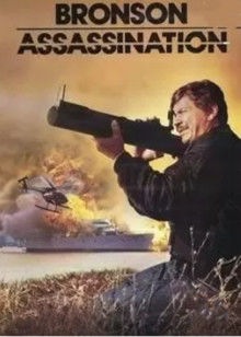 暗杀第一夫人封面图