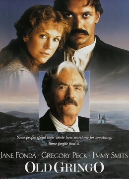 烽火异乡情封面图