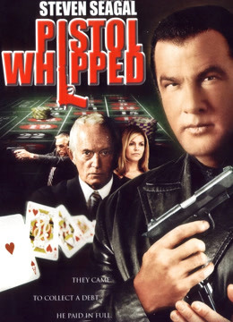 重振雄风封面图