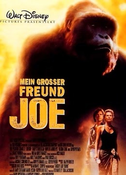 无敌大猩猩封面图