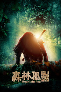 森林孤影封面图