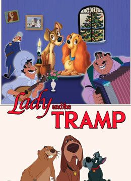 小姐与流浪汉封面图