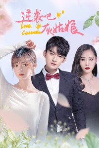 逆袭吧，灰姑娘封面图