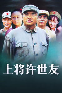 上将许世友封面图