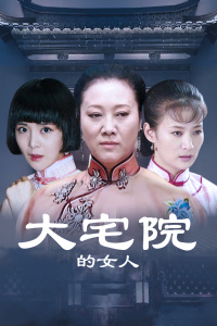 大宅院的女人封面图