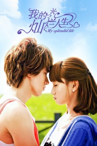我的灿烂人生封面图