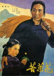苦菜花封面图