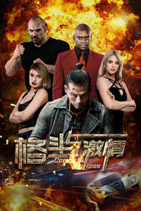 格斗与激情封面图