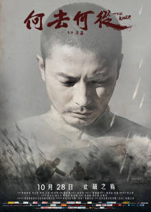 何去何从封面图