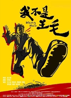 我不是王毛封面图