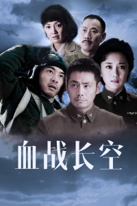血战长空封面图