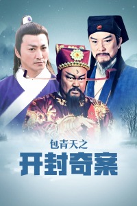 包青天之开封奇案封面图