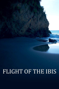 无敌雄鹰封面图