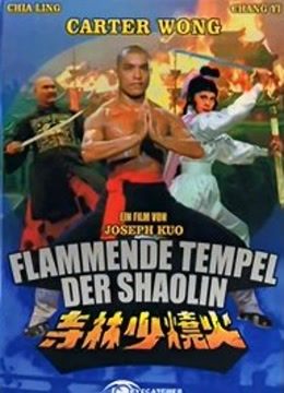 火烧少林寺封面图