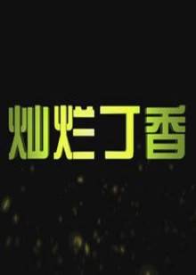 灿烂丁香封面图