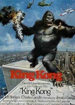 金刚：传奇重生封面图