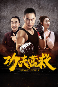 功夫营救封面图