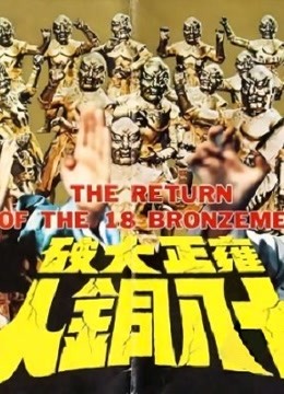 雍正大破十八铜人封面图