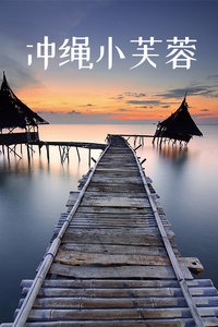 冲绳小芙蓉封面图