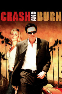 双面神探封面图