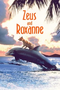 心有灵犀封面图