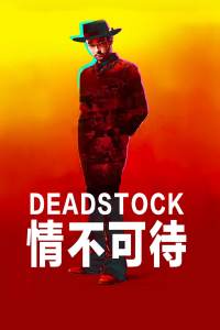 情不可待封面图