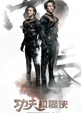 功夫机器侠之南拳封面图