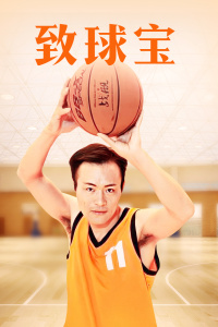 致球宝封面图