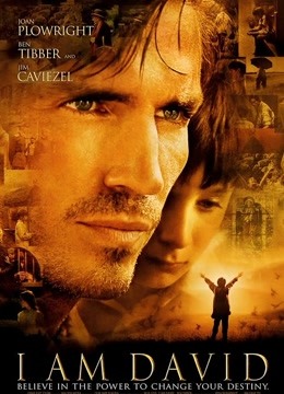 我是大卫封面图