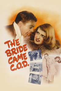 绑架新娘封面图