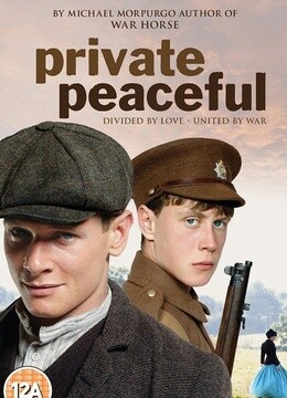 柑橘与柠檬啊封面图