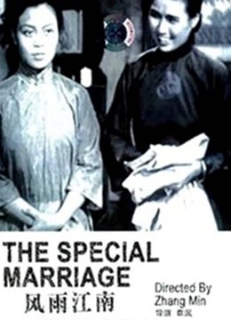 风雨江南封面图