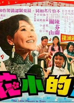 泪的小花封面图