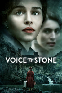 墙里的声音封面图