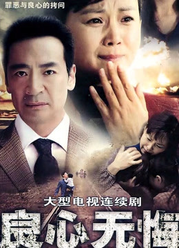 良心无悔封面图